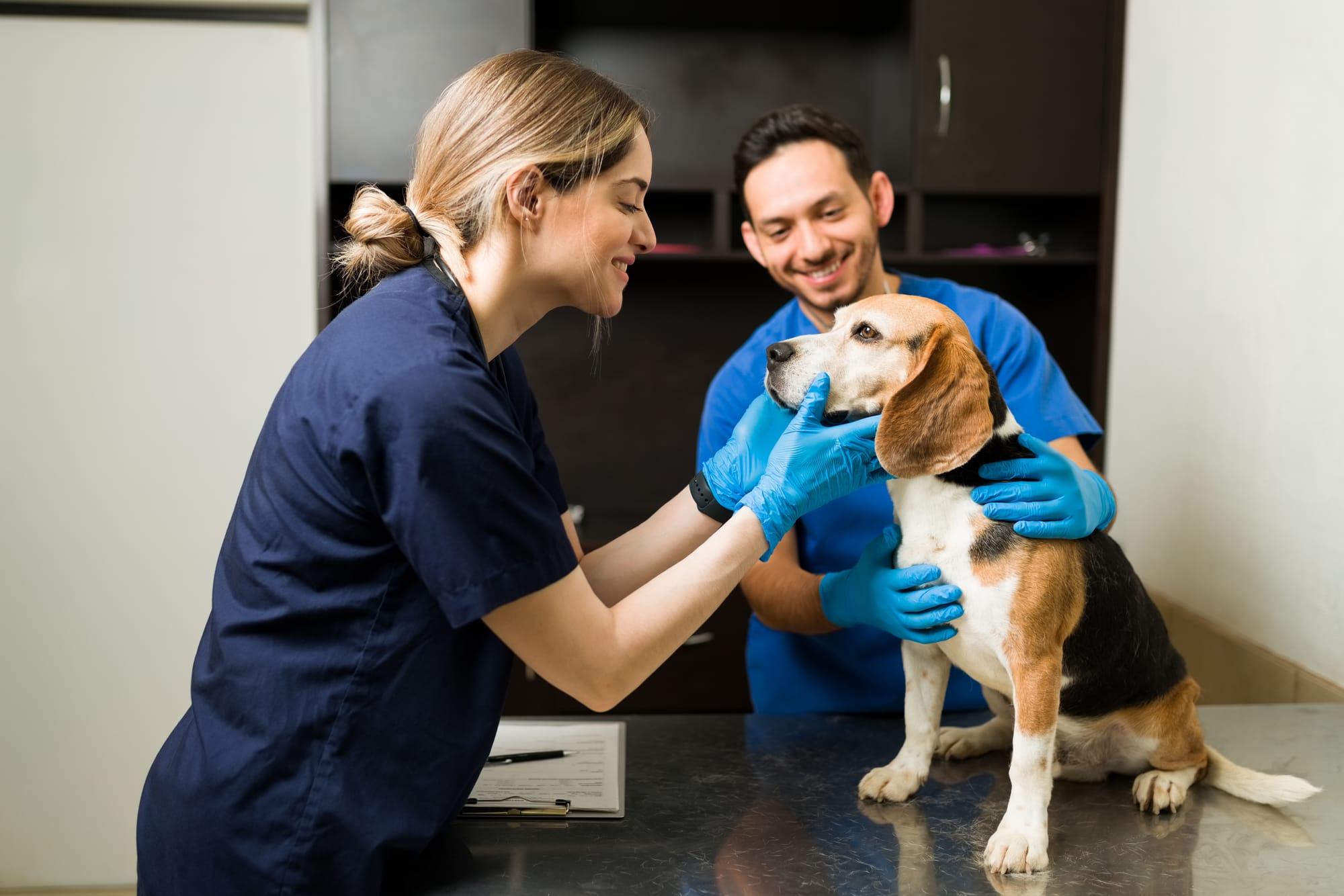 What Do Veterinary Professionals Need to Know About AI Scribing Tools in 2025?