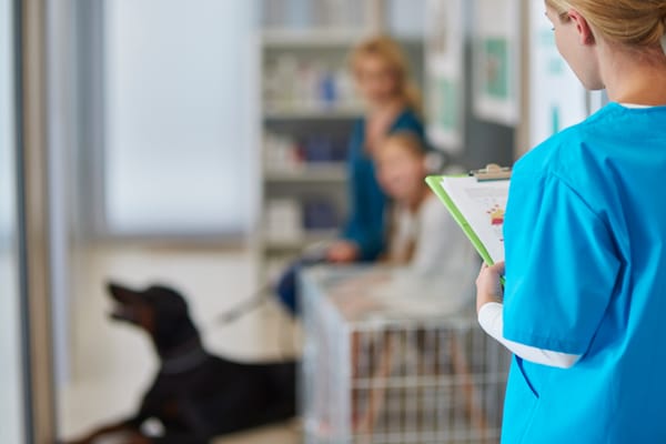 veterinarian asking client information