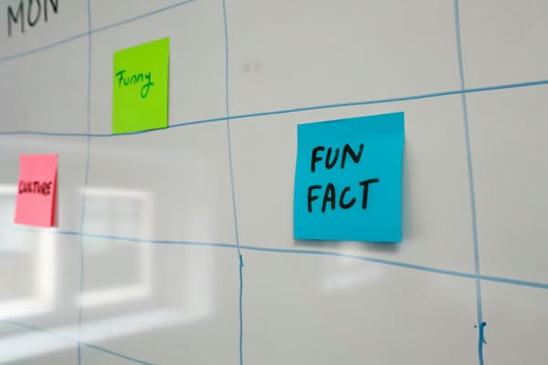interesting fun facts 